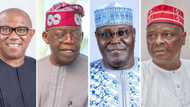 2023: Tinubu, Kwankwaso da Obi za su tashi a tutar babu, malami ya hango magajin Buhari