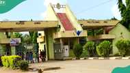 Tragedy as final year Ondo Poly student kills self over failed relationship