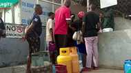 NBS: Cooking gas prices rise by 13.73% in April, 10 states most expensive