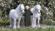 Royal Windsor Horse Show releases new photo of Queen Elizabeth II with her ponies to mark 96th birthday