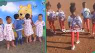 "Some people are blessed": Viral video of quintuplets going to school melts hearts on TikTok