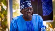 2023: Tinubu talks tough, says he won’t retire until he becomes president of Nigeria