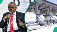 Dangote petrol price crashes, largest single drop in 2026