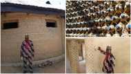 Man builds 3-bedroom house with 14,800 plastic bottles, photos emerge: "Nigerians are very creative"