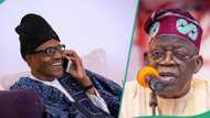 Tinubu @72: Abin da Buhari ya fadawa Bola bayan ya kira shi musamman a waya