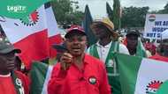 NLC moves to enforce minimum wage compliance in private sector