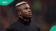 Victor Osimhen: Why Manchester United are no longer interested in Nigerian striker