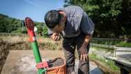 As prices soar, Japan returns to human waste fertiliser
