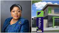 Fidelity Bank’s stock upgraded after strong performance, CEO makes over N28 million in 5 days