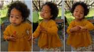 "One love": Baby girl blessed with dark curly hair dances smoothly to Bob Marley, video goes viral on TikTok