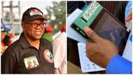 Peter Obi cancels all guber campaign trips, announces plan to appear in court on Wednesday, March 8