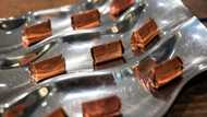 Chocolate wars as Italian artisans battle Swiss giant