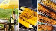Smart Hustler: Young man dressed in corporate attire seen selling roasted corn by the roadside in viral photo