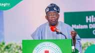 An zo wajen: Tinubu ya yi magana kan shirin maida Najeriya karkashin jam'iyya 1