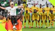 Benin players who could 'cause damage' to the Super Eagles As Rohr faces 'sack' pressure