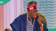 Terrorism: President Tinubu makes key demand from UN