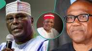 Zaben 2027: Jigon LP ya magantu kan yiwuwar hadewar Atiku, Kwankwaso da Peter Obi