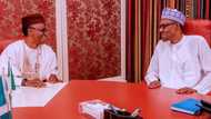 APC convention: El- Rufai out to tarnish president’s image, says Pro-Buhari group