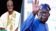 APC chief reacts to Tinubu using 6 years in office as bill passes 1st reading: “Dead on arrival”