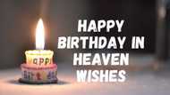 Amazing heartfelt happy birthday in heaven wishes for someone special