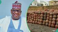 “It’s not sacrifice”: Kano senator explains why he donated 1 million pots, white cloth to graveyards