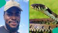 Nigerian man moves into new apartment spots snake in unexpected place, flees in fear