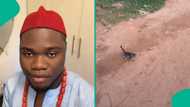 Man who encountered strange cat on the road in real life cries out, shares what he witnessed