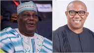 Just in: INEC makes strong move as Peter Obi, Atiku head to court