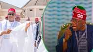 Tinubu's tax reform bill gets crucial backing from NNPP lawmaker