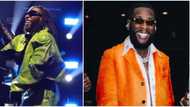 "Highest paid for a reason": Burna Boy allegedly earns N358 million for his 50-minute performance at Coachella