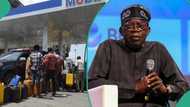 Tinubu asks Nigerians to go for CNG fuel priced at N200 as marketers import 123m litres of petrol