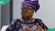 "Our country hasn't progressed": Okonjo-Iweala laments current state of Nigeria, proffers solution