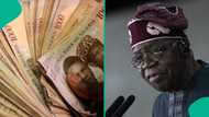 Hardship allowance for Nigerian president emerges amid new salary review for top office holders