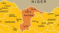 Katsina: Ƴan sanda sun sheƙe 'yan bindiga 6, sun kwace makamai da dabbobin sata