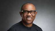 Peter Obi Na Jam'iyyar LP Zai Bayyana a CHATHAM HOUSE, Dan Bayyana Manufofinsa