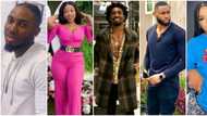 BBNaija: Jaypaul reveals the 2 housemates he met before the show, Emmanuel shocked to see Liquorose