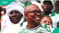 Nigeria vs Congo: Peter Obi sends emotional message to Super Eagles as netizens react, “sad”