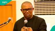 "Why top politicians do vote buying during elections": Peter Obi drops bombshell