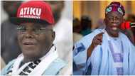 Major Boost for Atiku as Shema’s PDP faction flags off campaign for former VP in top northern state