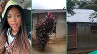 Lady shows video of “zinc” house she constructed after demolishing father’s building of 40 years