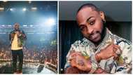 Who dey check? Reactions as Davido insists his O2 Arena concert was sold out