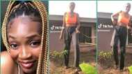 Nigerian lady visits late parents' graveside to announce her wedding, video stirs emotions online