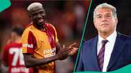 Barcelona ‘need’ Victor Osimhen’s help to land dream target this summer