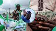 Nigeria @ 64: Naira from symbol of pride to cause of despair