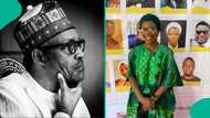 Who will take Buhari's position in the north? Anifowoshe gives response
