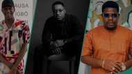 Legit.ng’s Readers’ Choice Award: Mr Macaroni wins Social Media Star for X, beats Aproko Doctor