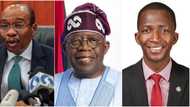 List of top government officials suspended by President Tinubu within 2 weeks