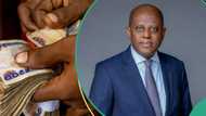 Naira exchanges dollar at new rate after CBN makes changes to interest rate, others