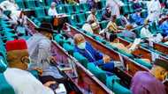 Ritual killings: House of Reps declare national emergency in Nigeria