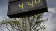 Western Europe wilts under heatwave
